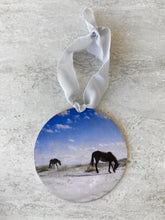 Load image into Gallery viewer, Cumberland Island