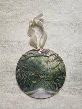 Load image into Gallery viewer, Wormsloe