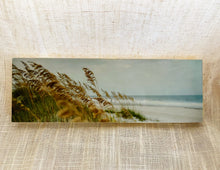 Load image into Gallery viewer, Amelia Island Gilded Print
